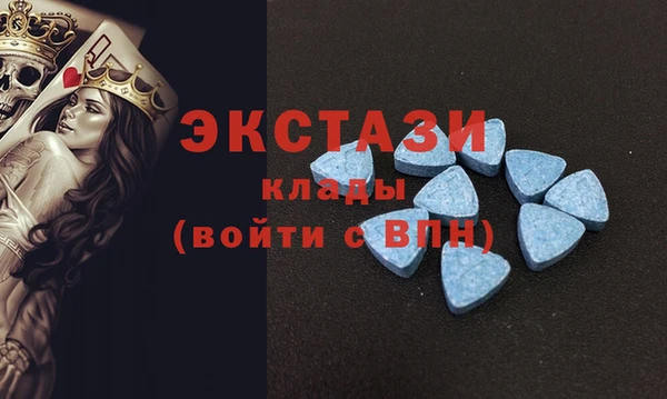 гидра Верея