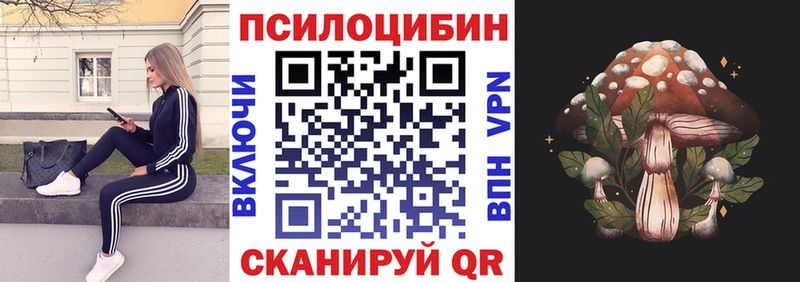 Псилоцибиновые грибы Psilocybine cubensis  Павловский Посад 