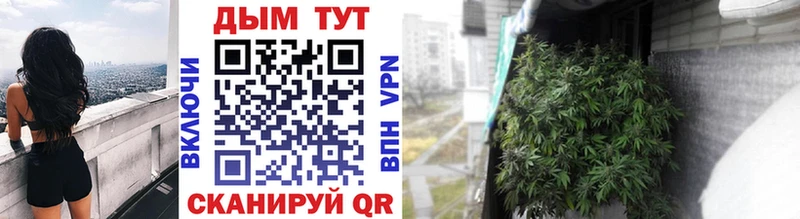 что такое наркотик  darknet какой сайт  блэк спрут   Бошки марихуана конопля  Павловский Посад 